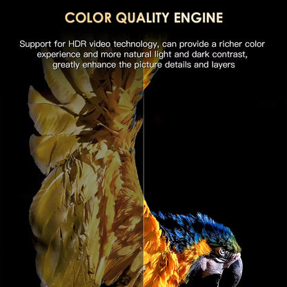 H20PRO Android 10 TV Box 16GB Support 2.4G/5G WIFI 4K HD Video Media Player Android TV Box 1080P Set Top Box